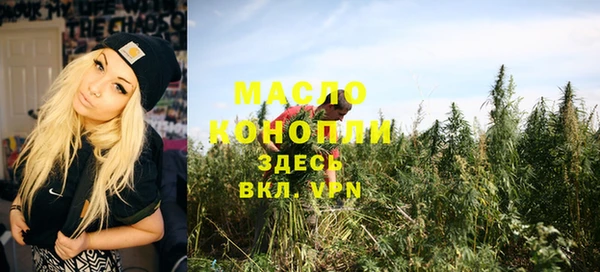 крисы Елабуга