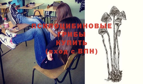 первитин Дмитровск