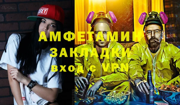 крисы Елабуга