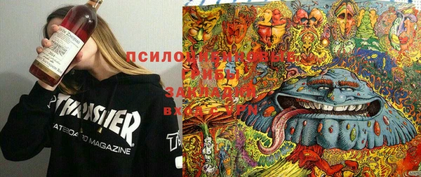 мяу мяу кристалл Ельня
