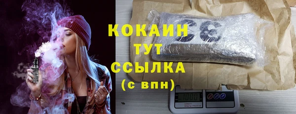 крисы Елабуга