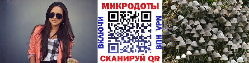 Псилоцибиновые грибы Psilocybine cubensis  Данков 